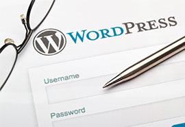 12 Things Every New WordPress Site Should Be Doing On Launch