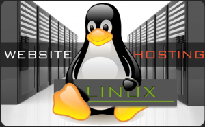 Картинки по запросу Web hosting linux