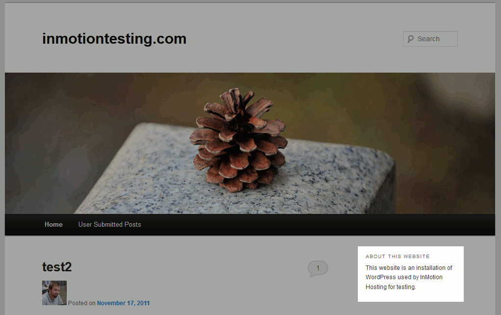 results-of-a-wordpress-text-widget