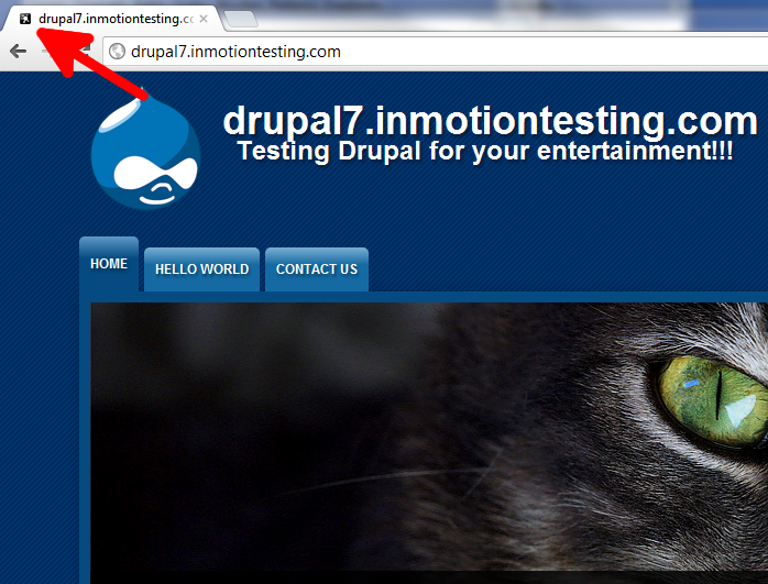 custom-favicon-after