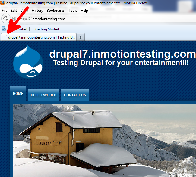 disable-favicon-after