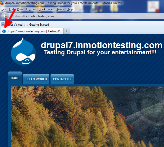 disable-favicon-before