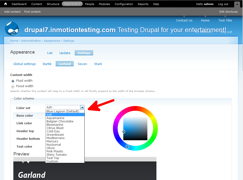 appearance-theme-settings-color-set