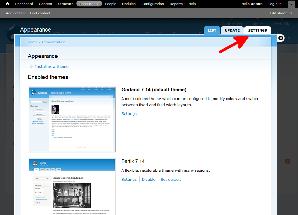 appearance-theme-settings-tab