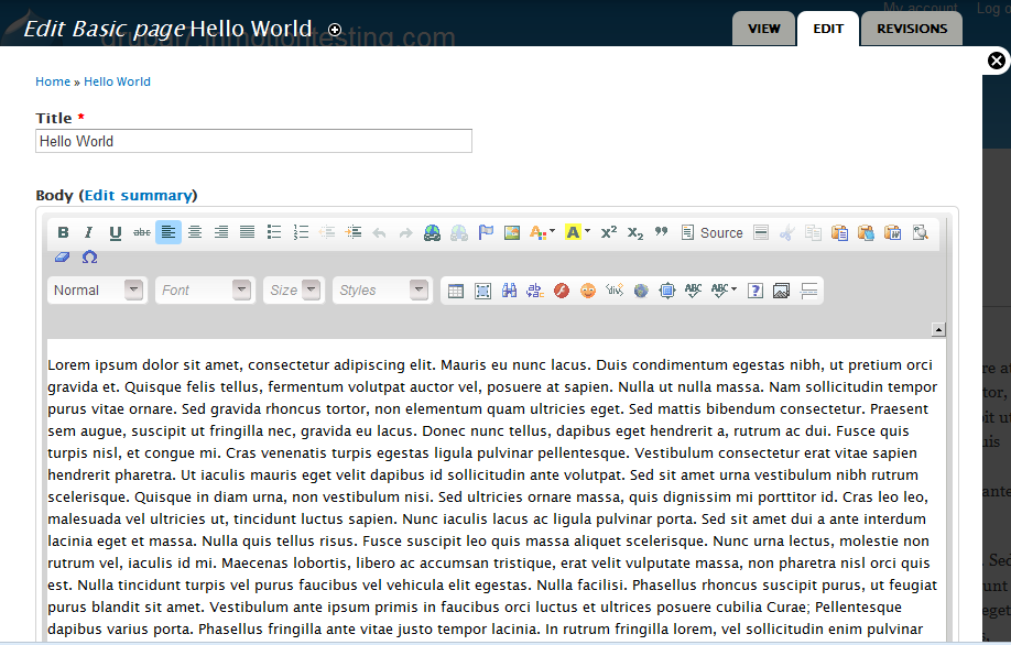 wysiwyg-work-after