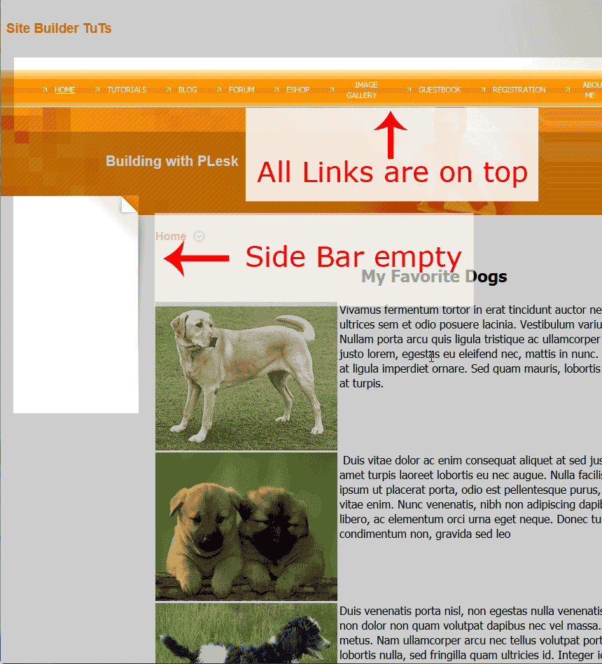 Click here to view the larger image Preview no sidebar links Premium Web Builder