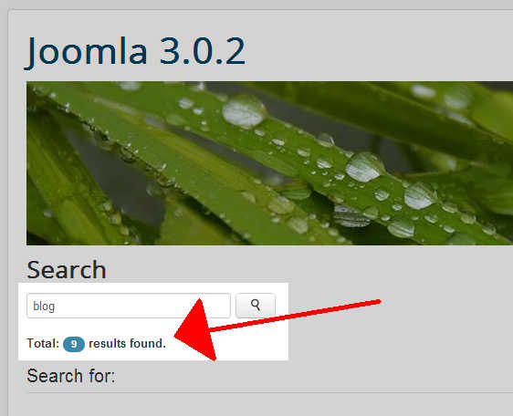 nine-search-results-returned
