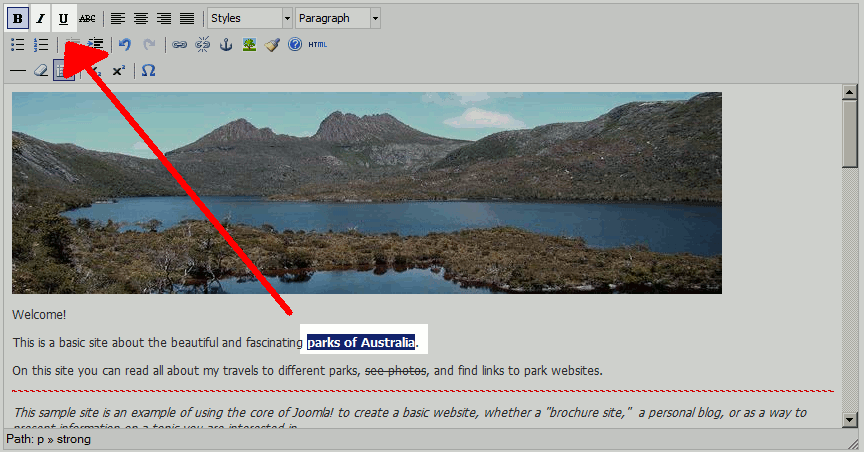bolding-text-is-easy-in-joomla-25