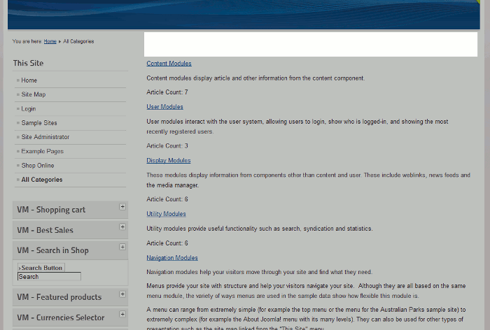 hide-top-level-category-description