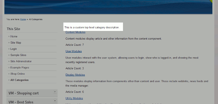 new-category-description-showing