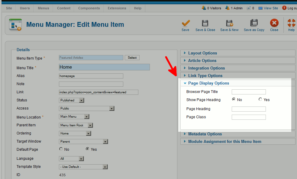 page-display-options