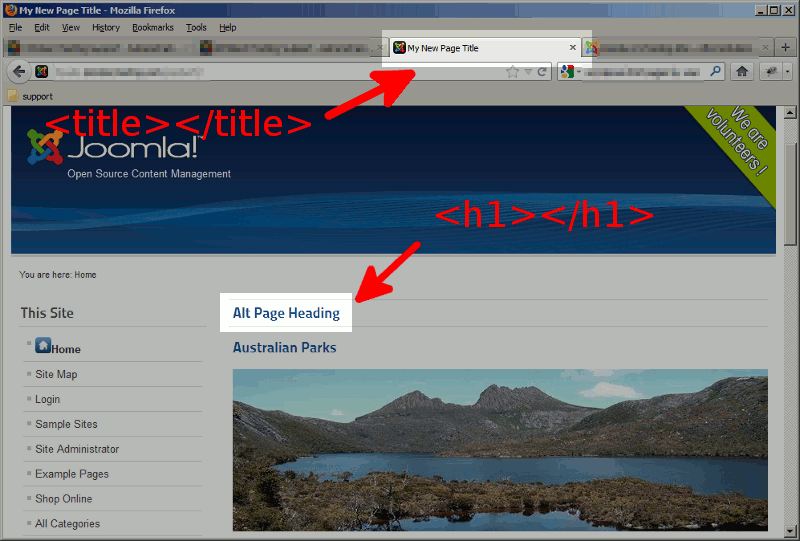 setting-a-custom-page-heading