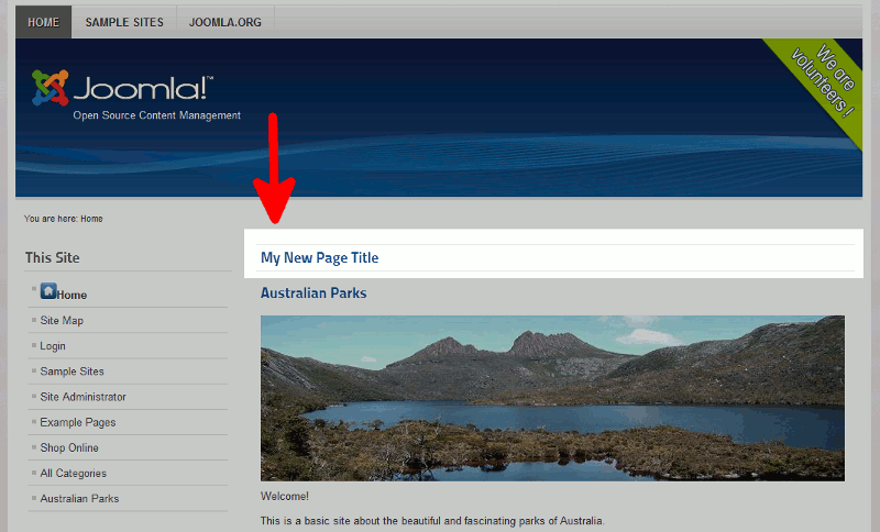 when-page-heading-is-showing