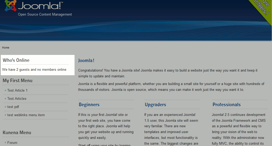 module_showing_on_homepage