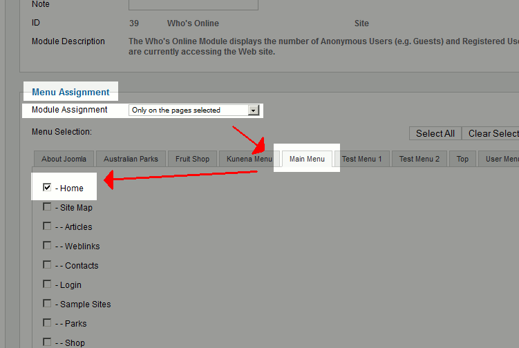 select_the_home_page_home_menu_item_under_menu_assignment