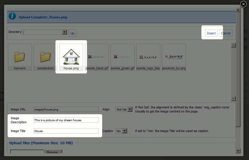 fill-in-image-details-and-click-insert