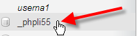 click on phplist database name