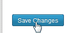 Save changes WordPress