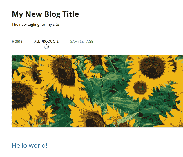 Product view in WordPress
