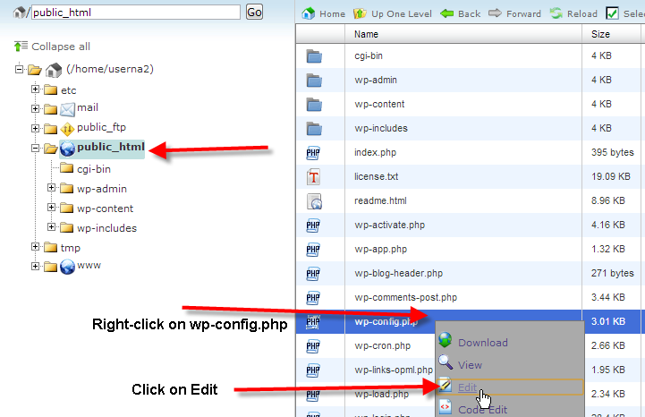file-manager-edit-wp-config