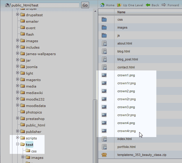 Click here to view the larger image New directory cPanel File Manager