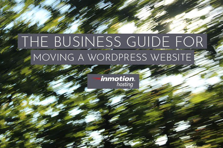  The Business Guide for Moving A WordPress Website 