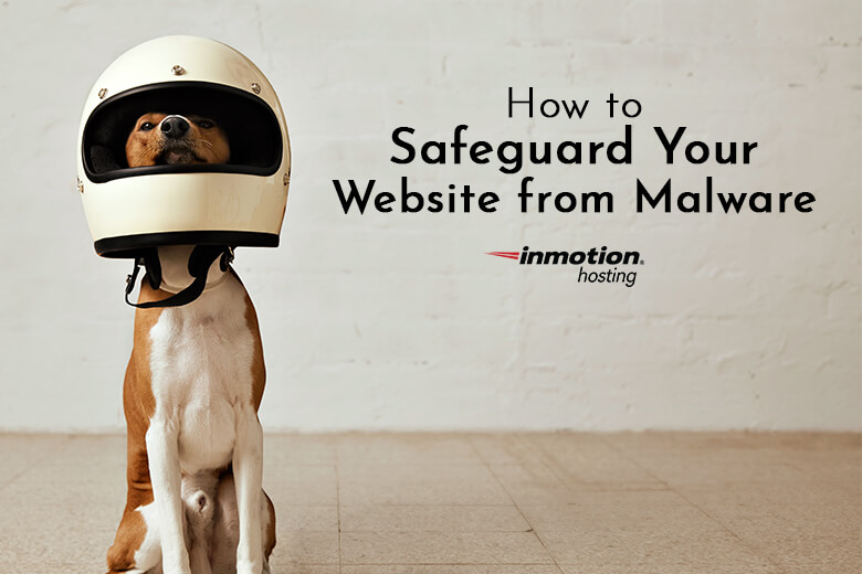How to Safeguard Your Website from Malware