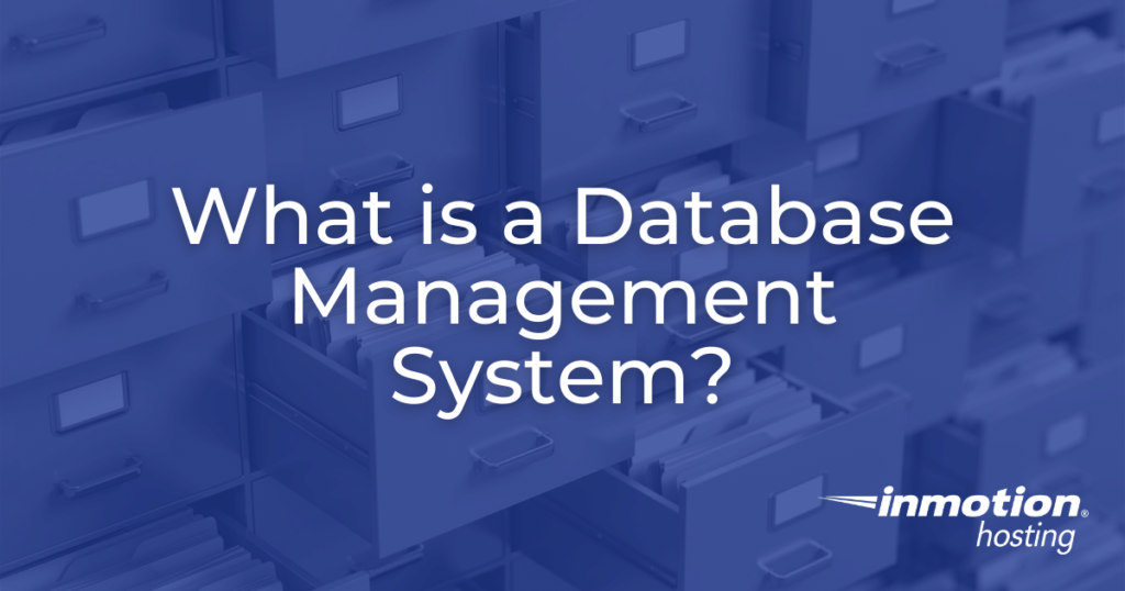 database management systems hero image
