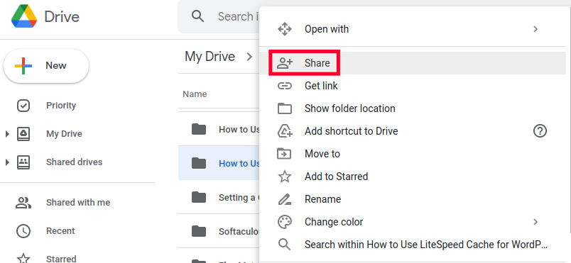 Share File in Google Drive Cloud Storage