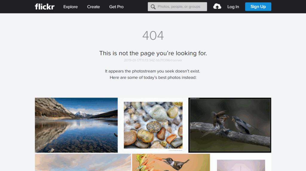 Flickr 404 Page