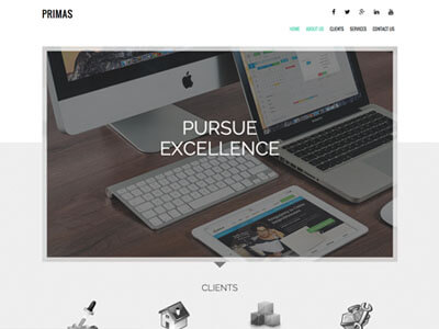 Primus Business Theme Screenshot