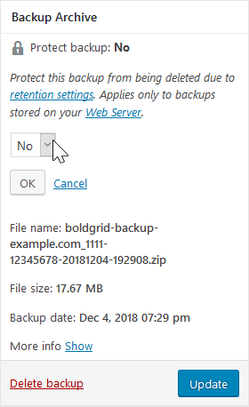protect a backup from deletion