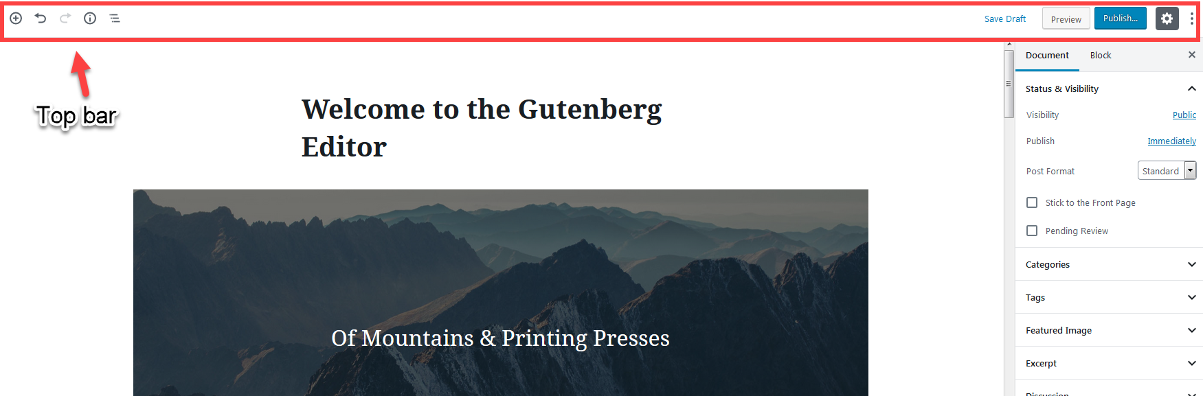 Gutenberg editor in wordpress