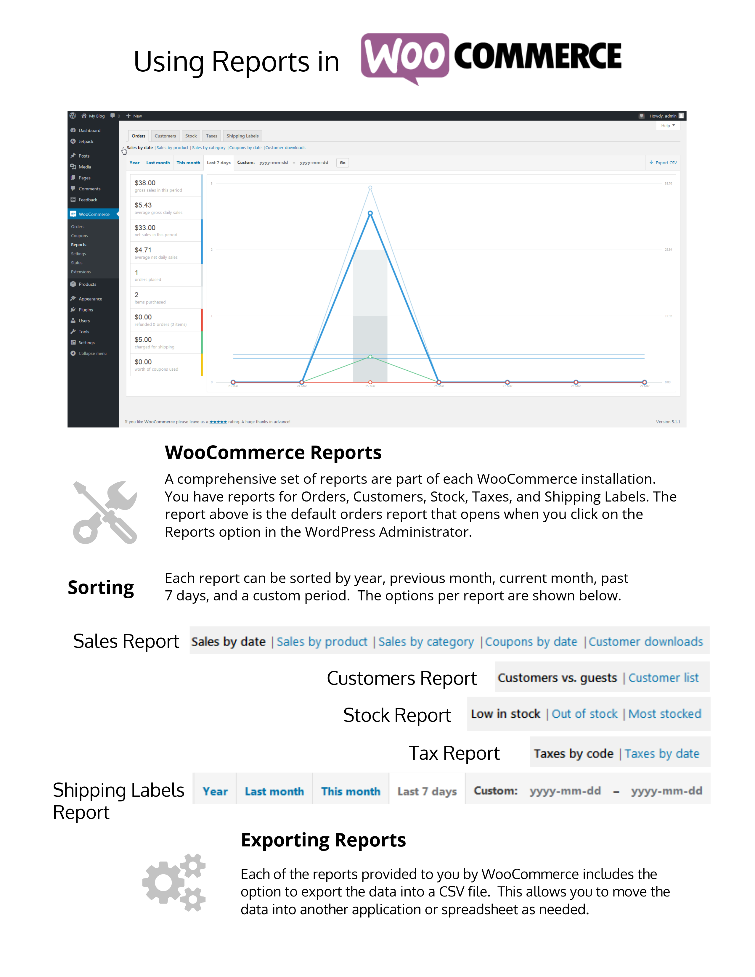 Infographic WooCommerce reports