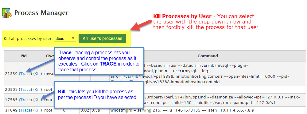 WHM / cPanel Kill Process Options