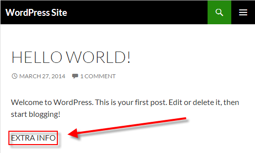 How to Create a WordPress Plugin extra info plugin on a WordPress site. 