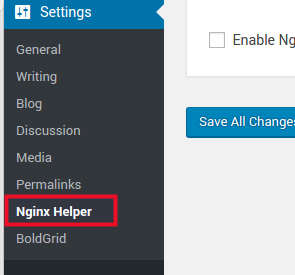 Nginx Helper settings under Settings