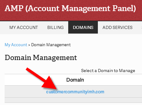 select the domain that you want to make the nameserver change for