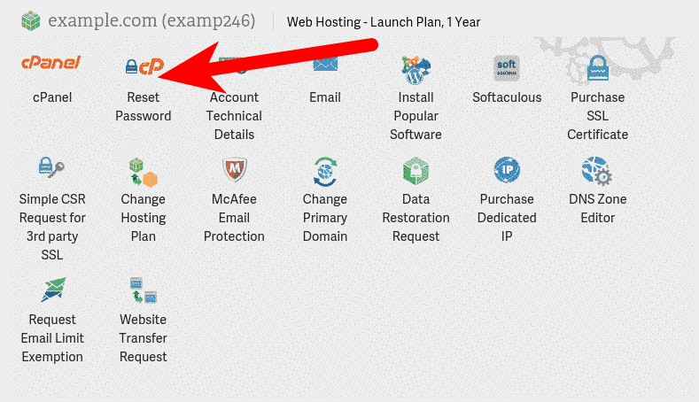 Reset cPanel password in Account Management Panel