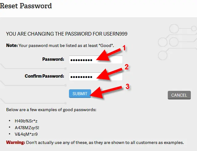 Resetting cPanel Password