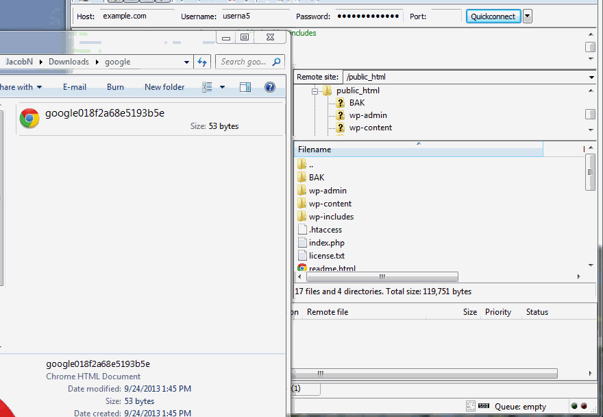 Upload the verification file to your website with FTP