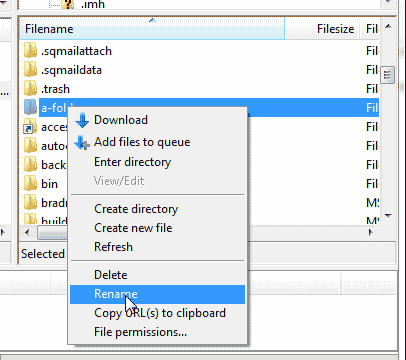 Rename the file in FileZilla