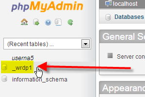 Click on the name of your WordPress database
