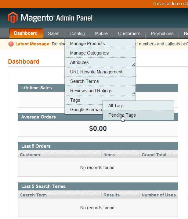 magento_pending_tags_1