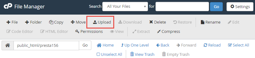 Upload theme cPanel File Manager