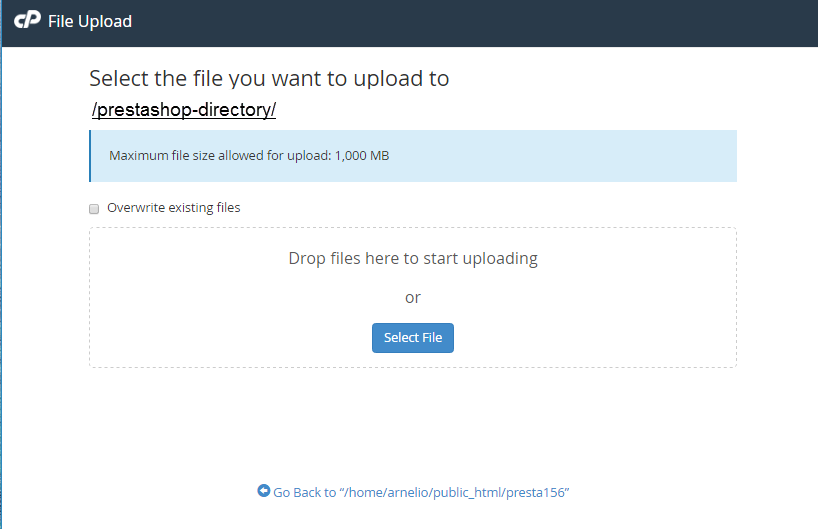 tTheme files cPanel File Manager