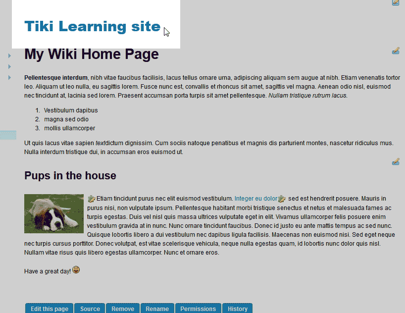 Final vies of renamed page TikiWiki