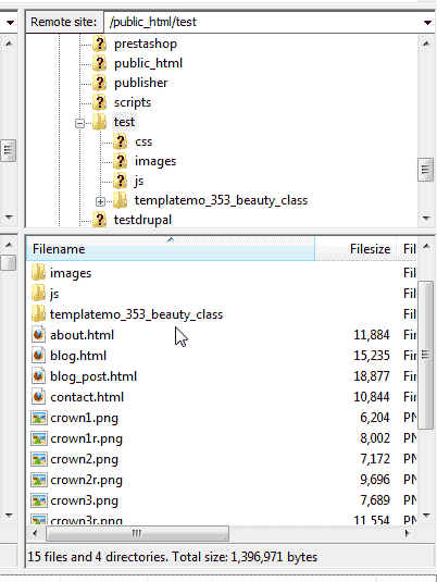Files in directory filezilla