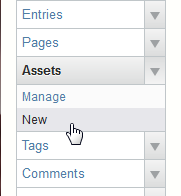 Add New Asset Movable Type