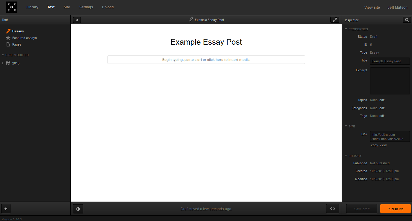 Example Essay